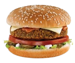 chicken burger