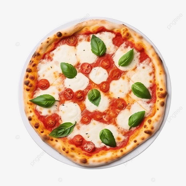 margherita pizza